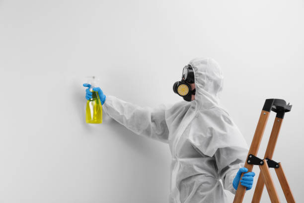 Reliable Corning, NY Mold Inspection Solutions